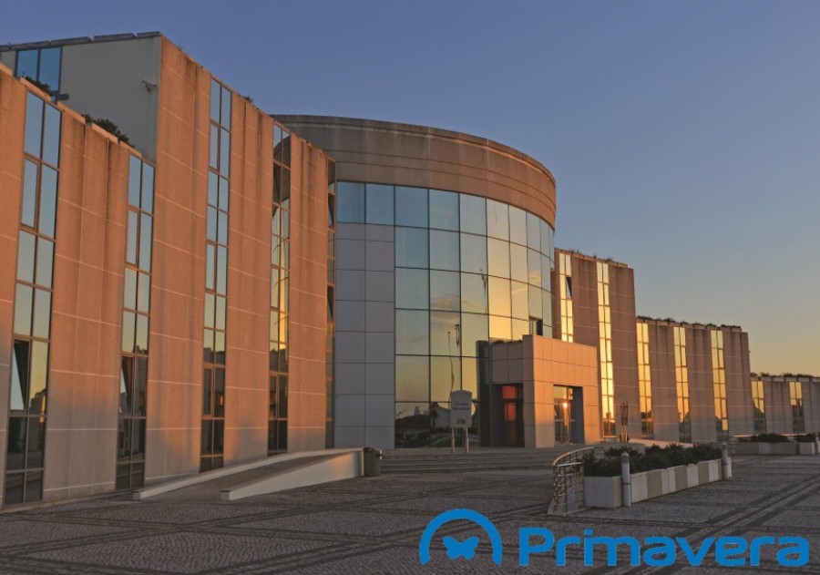 Câmara Municipal de Mafra adota SNC-AP com apoio das soluções PRIMAVERA BSS