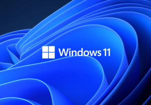 Windows 11 aproxima-se dos 70% de quota no Steam e domina mercado gaming